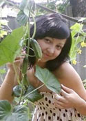 woman female - ukrainianscammers.com